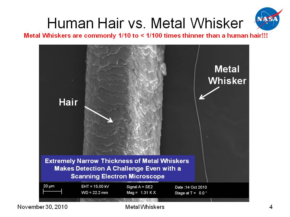 Hair vs. Zinc Whisker Size